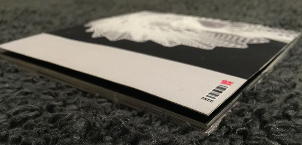 BadmintonBackCover-victoriamorrisoncouk